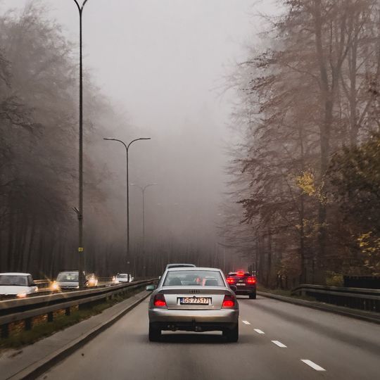 mgła w Gdańsku, 2025