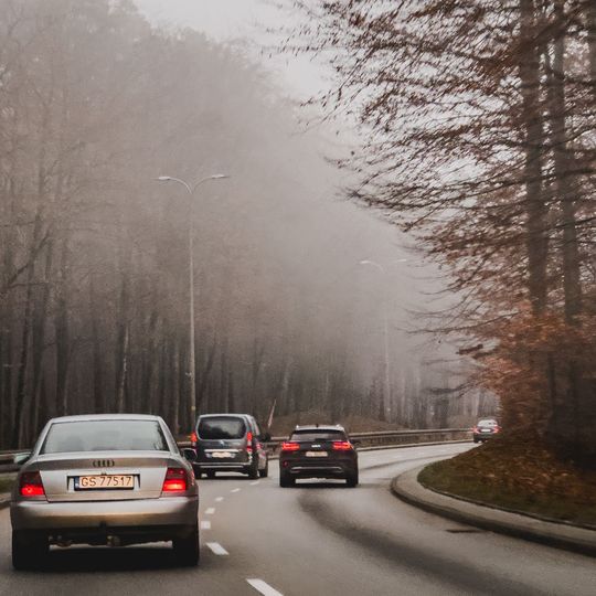 mgła w Gdańsku, 2025