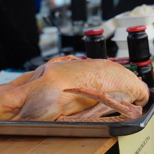 „Na św. Marcina najlepsza pomorska gęsina!”, Swołowo 2025