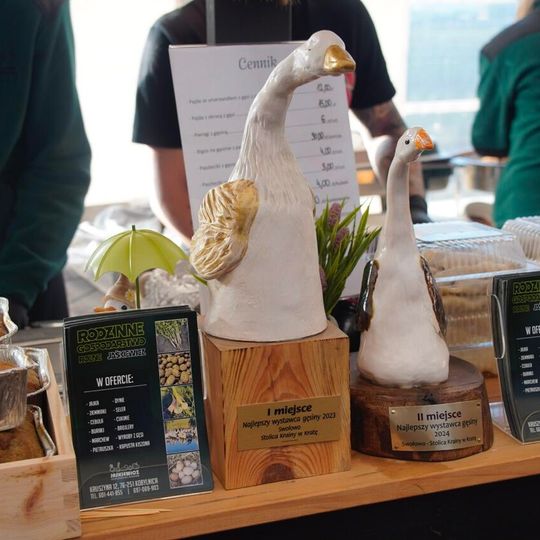 „Na św. Marcina najlepsza pomorska gęsina!”, Swołowo 2025