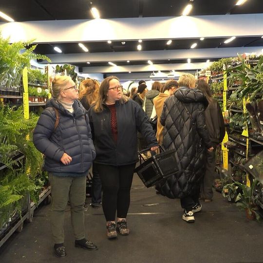 W Gdańsku trwa największy targ roślin doniczkowych w Polsce