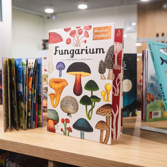 STEM Kindloteka w Gdańsku, otwarcie