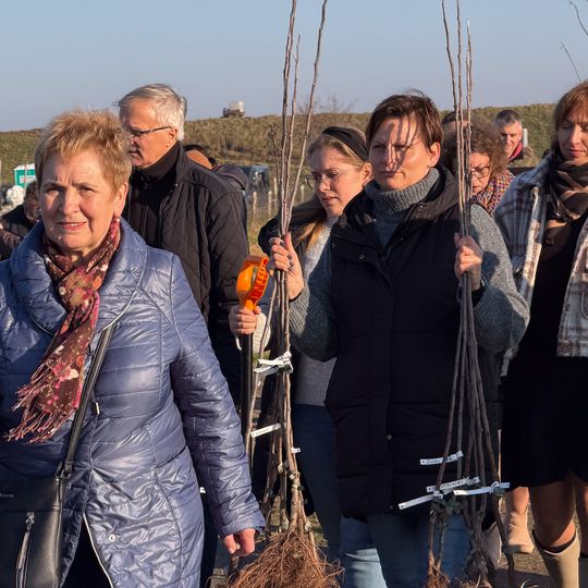 sadzenie Alei Jabłoni pamięci Mariusza Śledzia