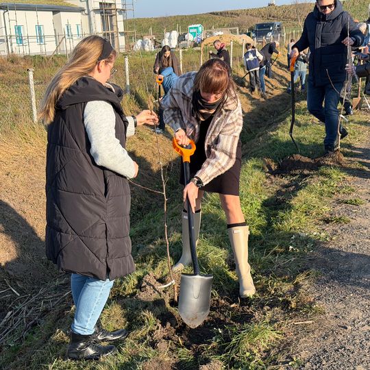 sadzenie Alei Jabłoni pamięci Mariusza Śledzia