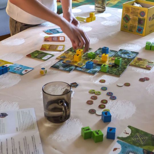 gra „Łosie i Jelenie Józefiny”