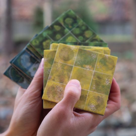 gra „Łosie i Jelenie Józefiny”