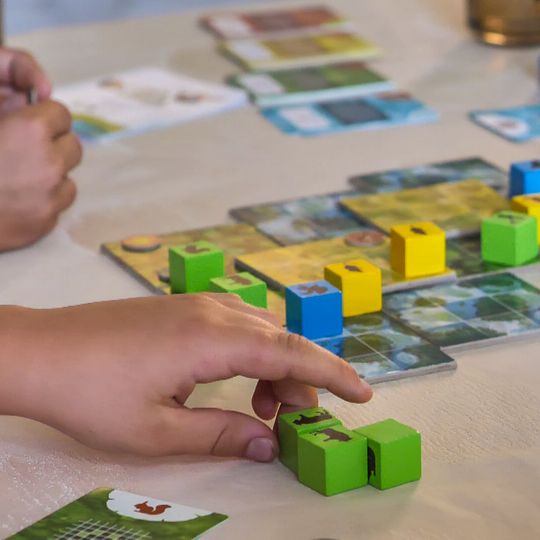 gra „Łosie i Jelenie Józefiny”