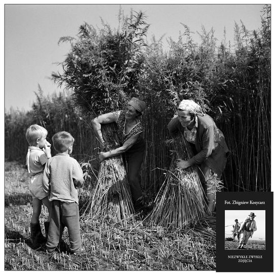 zdjęcie Zbigniewa Kosycarza