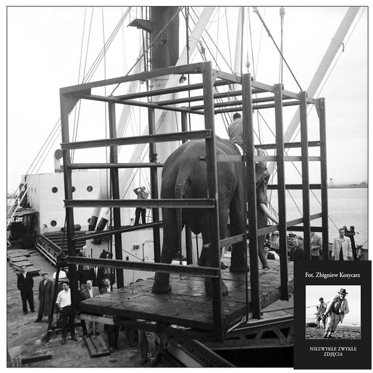 zdjęcie Zbigniewa Kosycarza