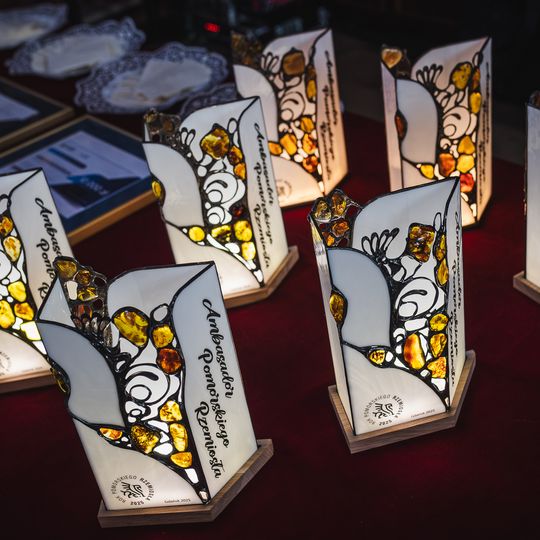 Finał Roku Pomorskiego Rzemiosła. Galeria zdjęć z uroczystej gali w Dworze Artusa