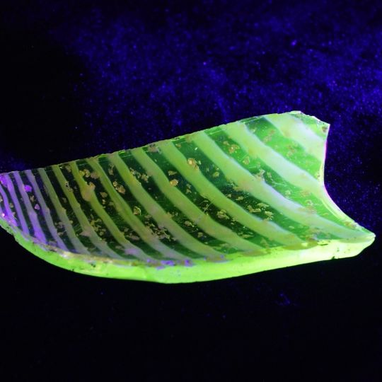 fragment naczynia z uranowego szkła z 2. połowy XIX w. znaleziony wśród stłuczki szklanej i ceramicznej z okresu kurortu