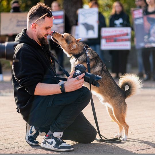 Lolek, pies Karola Makurata, fotoreportera „Zawsze Pomorze”