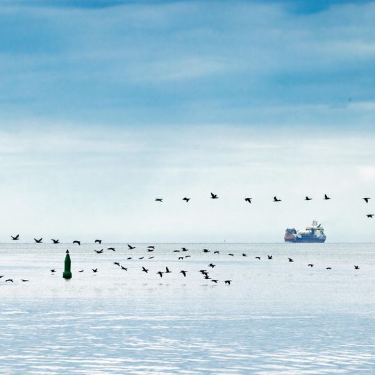 prace przy budowie nabrzeża terminalu FSRU, Gdańsk