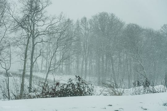 Pierwszy atak zimy na Pomorzu w 2025 roku