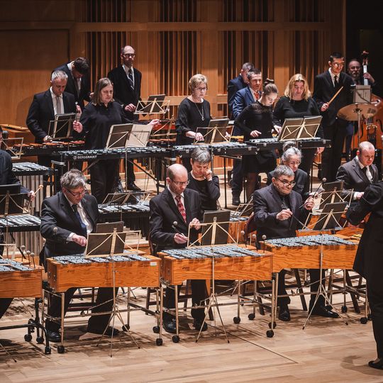 Koncert Noworoczny Orkiestry Vita Activa, Gdańsk 2026