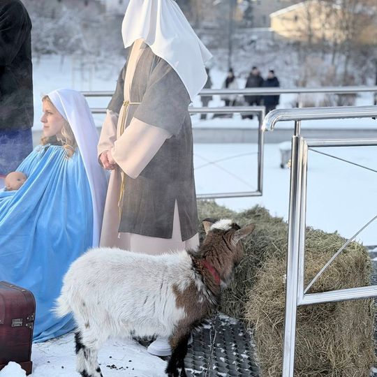 Orszak Trzech Króli w Sierakowicach. Za gwiazdą podążali Mędrcy ze Wschodu i tłumy wiernych