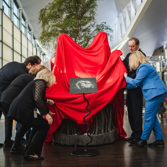 „Taniec żywiołów”, lotnisko Gdańsk, 2026