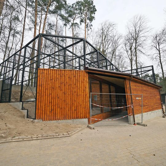 nowy wybieg manuli, zoo Gdańsk 2025