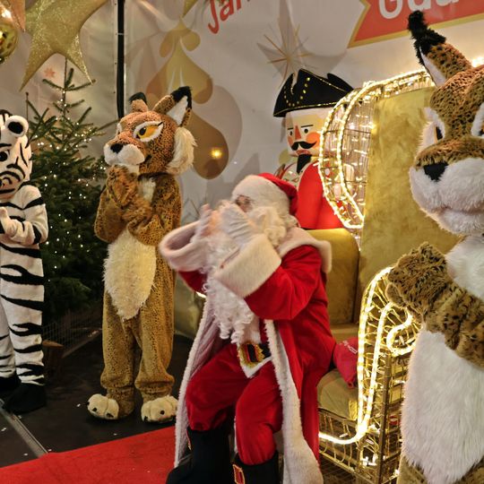 zoo Gdańsk, fundacja Lynx, jarmark bożonarodzeniowy, Gdańsk 2025