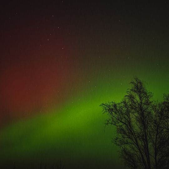 zorza polarna, Bartoszylas 2026