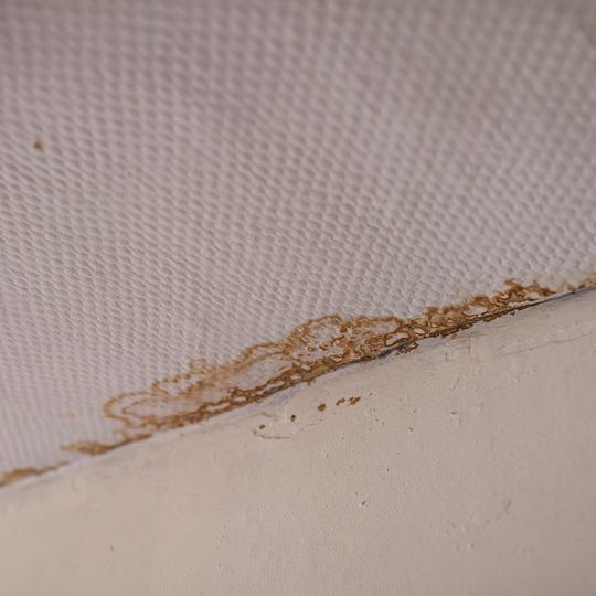 kamienica przy ul. Ceglanej 8 w Gdańsku-Wrzeszczu