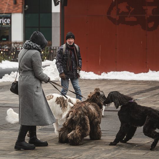 wolontariusze WOŚP, Gdańsk 2026