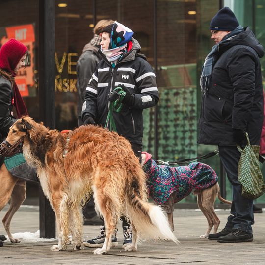 wolontariusze WOŚP, Gdańsk 2026