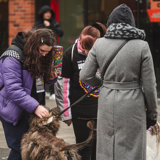 wolontariusze WOŚP, Gdańsk 2026