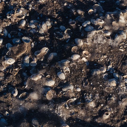 zamarznięta Zatoka Gdańska, Sopot 2026