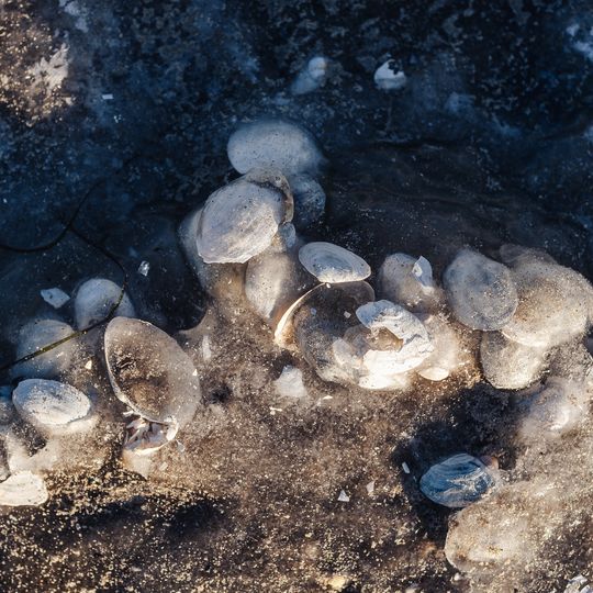 zamarznięta Zatoka Gdańska, Sopot 2026