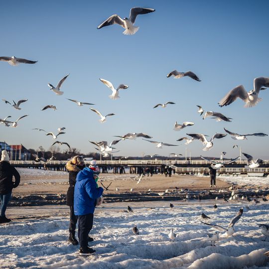 zamarznięta Zatoka Gdańska, Sopot 2026