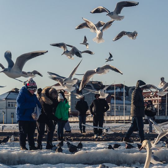 zamarznięta Zatoka Gdańska, Sopot 2026