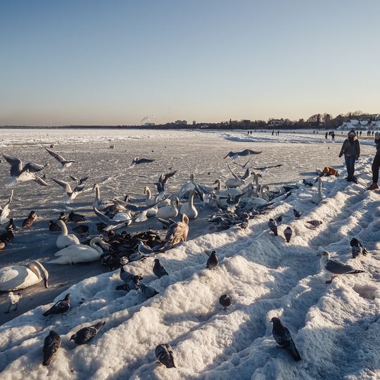 zamarznięta Zatoka Gdańska, Sopot 2026