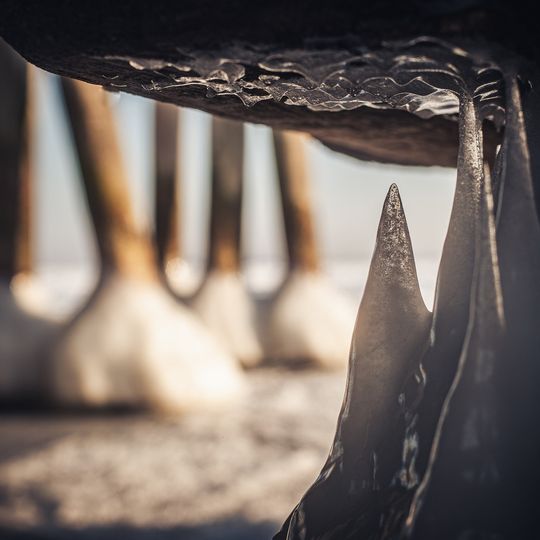 zamarznięta Zatoka Gdańska, Sopot 2026