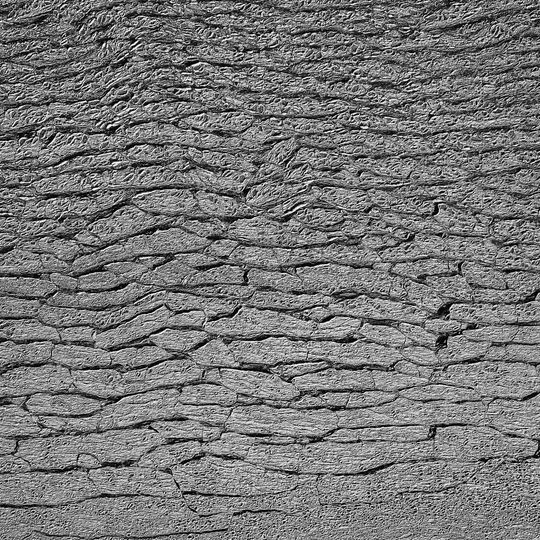 zamarznięta Zatoka Gdańska, Sopot 2026