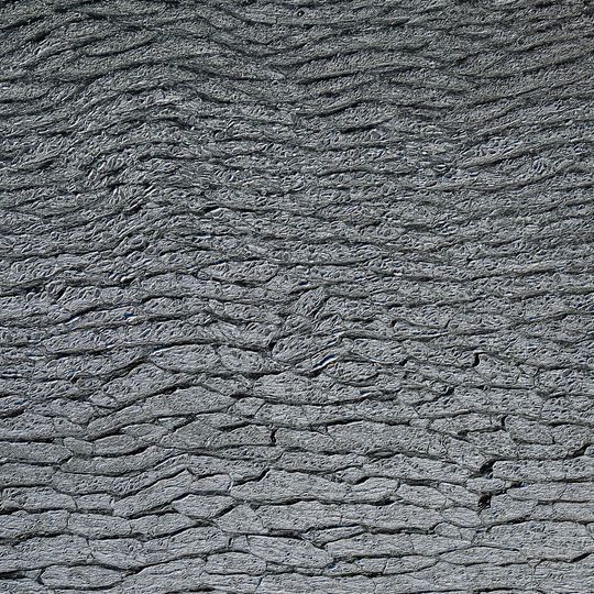 zamarznięta Zatoka Gdańska, Sopot 2026