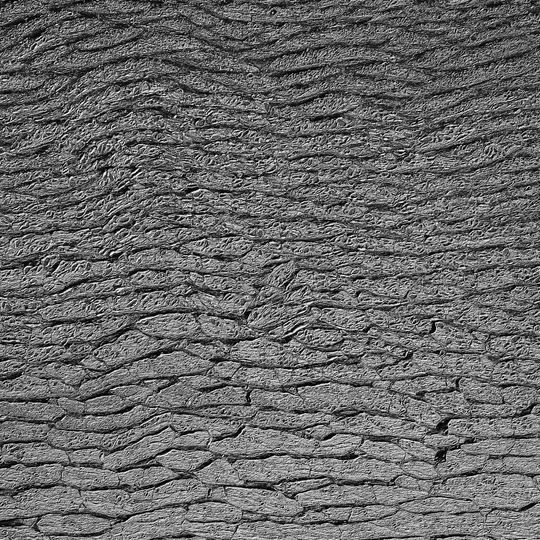 zamarznięta Zatoka Gdańska, Sopot 2026