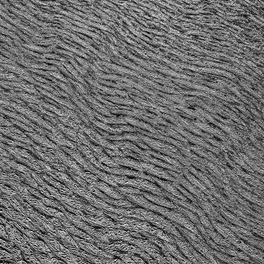 zamarznięta Zatoka Gdańska, Sopot 2026