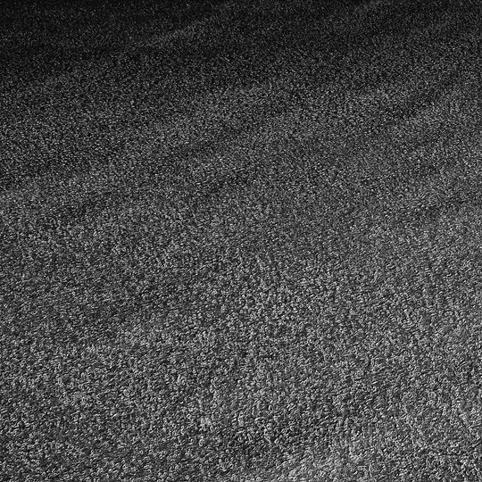 zamarznięta Zatoka Gdańska, Sopot 2026