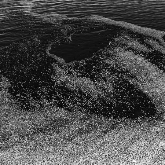 zamarznięta Zatoka Gdańska, Sopot 2026