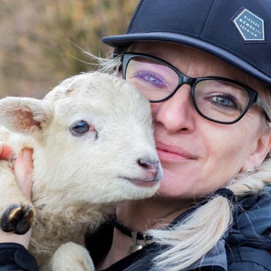 zdjęcia Edyty Lichy