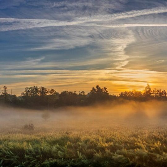 zdjęcia Edyty Lichy