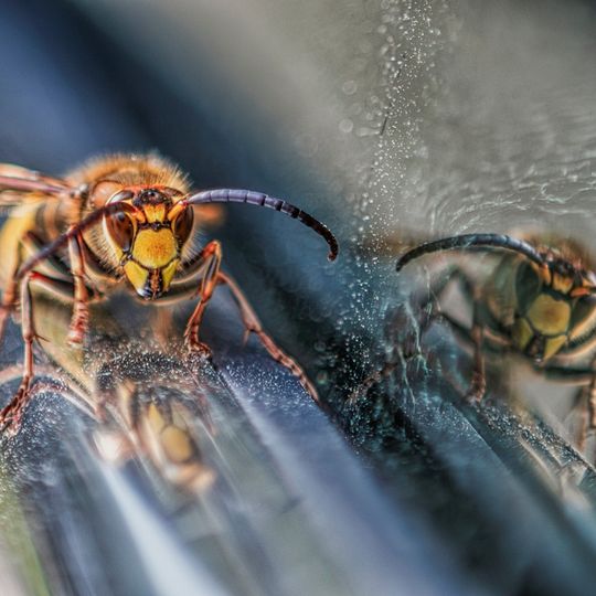 zdjęcia Edyty Lichy