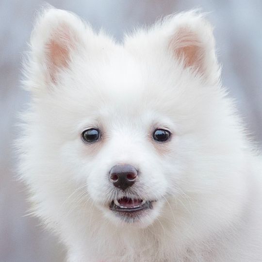 zdjęcia Edyty Lichy