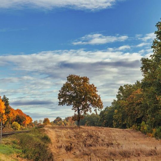 zdjęcia Edyty Lichy