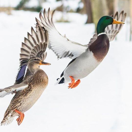 zdjęcia Edyty Lichy