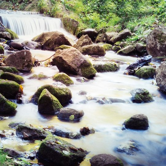 zdjęcia Edyty Lichy