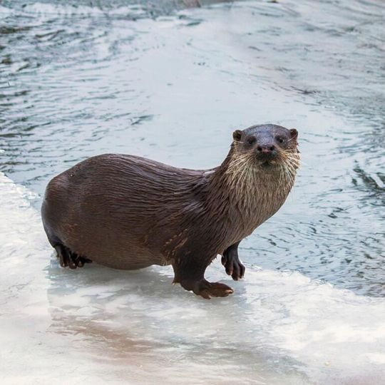 zdjęcia Edyty Lichy