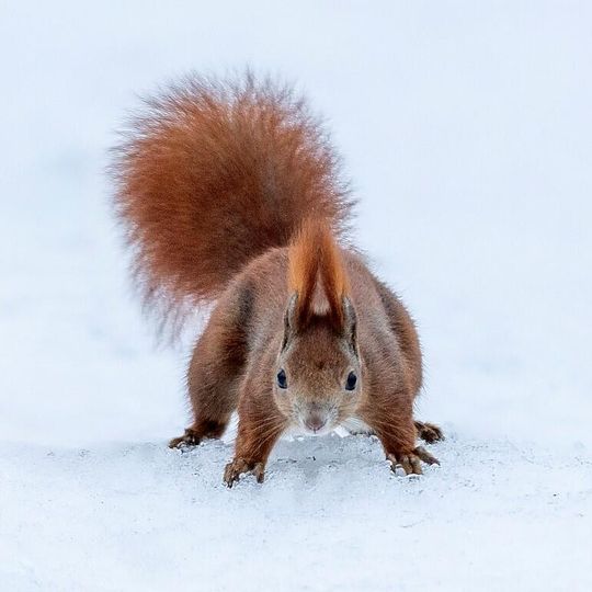 zdjęcia Edyty Lichy