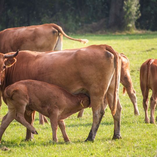 zdjęcia Edyty Lichy